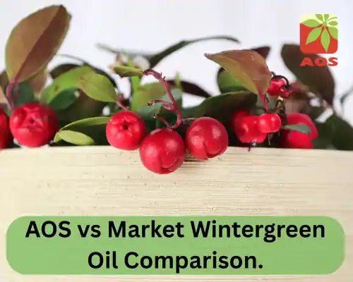 AOS vs Market Wintergreen Oil Comparison