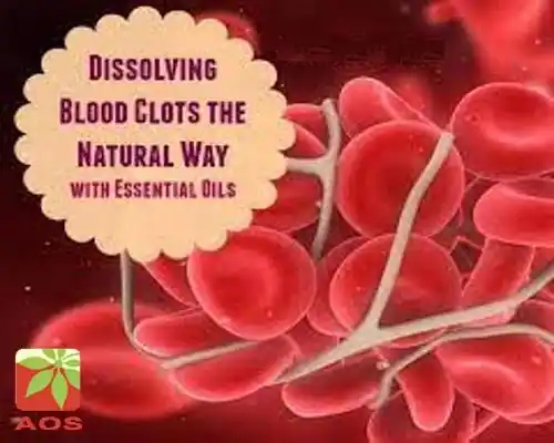 Essential Oils for Blood Clots