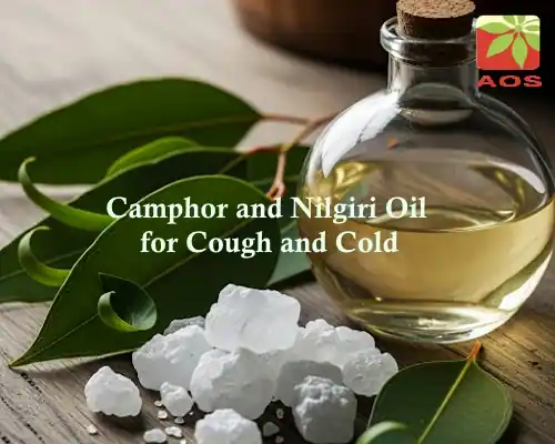 Camphor and Nilgiri Oil for Cough and Cold