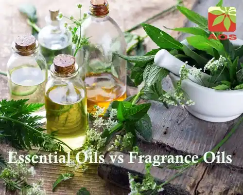 Essential Oils vs Fragrance Oils
