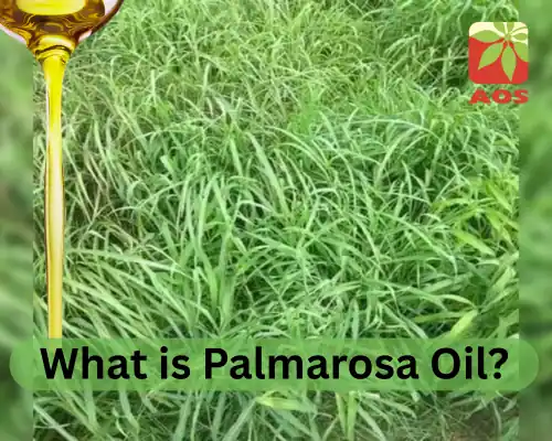 What is Palmarosa Oil