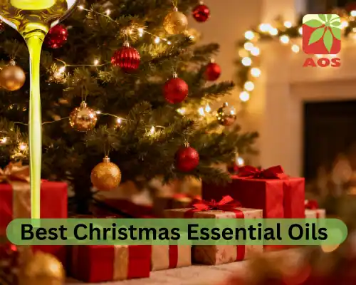 Best Christmas Essential Oils