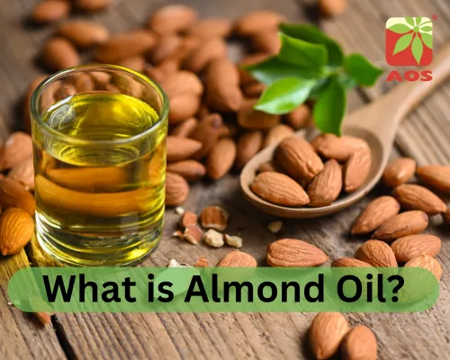 What is Almond Oil