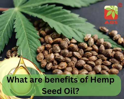What are benefits of Hemp Seed Oil