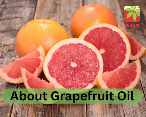 About Grapefruit Oil