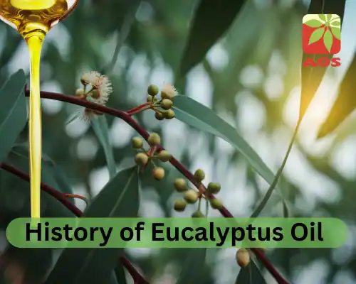 History of Eucalyptus Oil