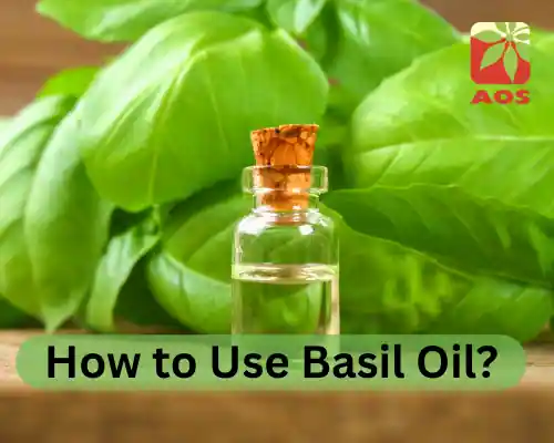 How to Use Basil Oil