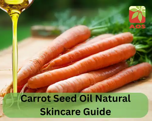 Carrot Seed Oil Natural Skincare Guide