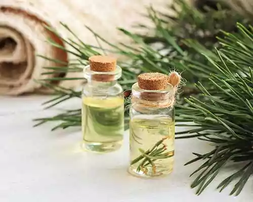 Turpentine Oil - Properties & Purity of Oil