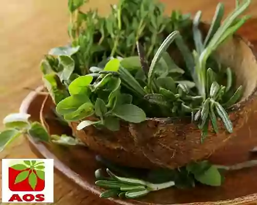 Thyme Oil for Hair