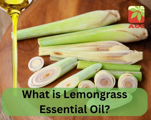 What is Lemongrass Essential Oil