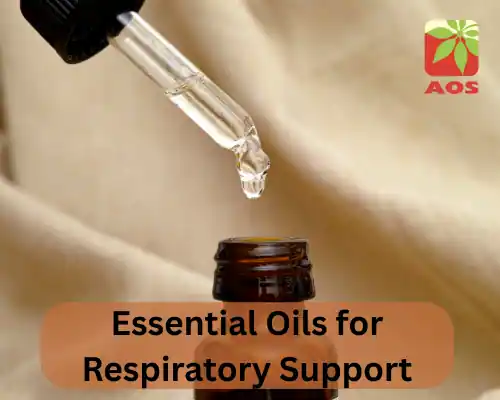 Essential Oils for Respiratory Support