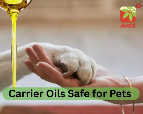 Carrier Oils Safe for Pets