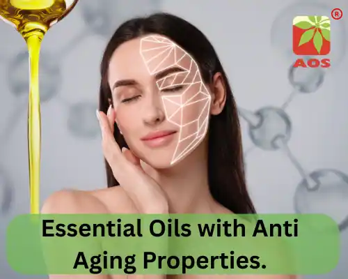 Essential Oils with Anti Aging Properties