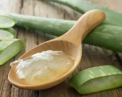 Aloe Vera For Your Skin: The Umpteen Benefits + How To Use – SkinKraft