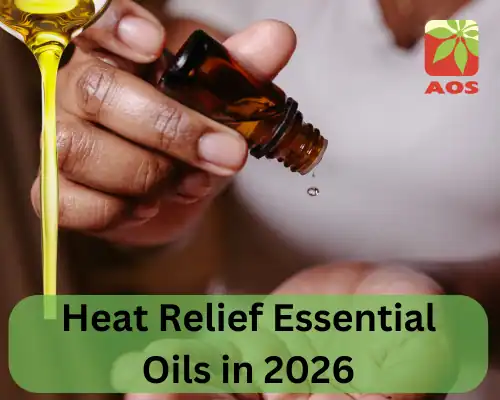 Heat Relief Essential Oils in 2026