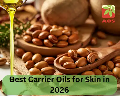Best Carrier Oils for Skin in 2026