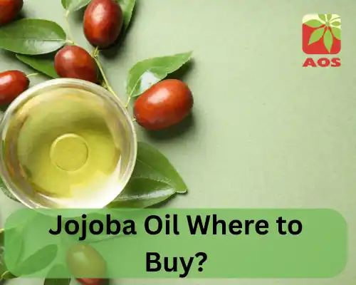 Jojoba Oil Where to Buy