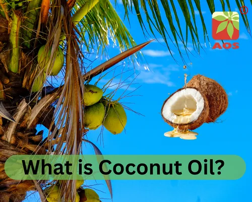 What is Coconut Oil