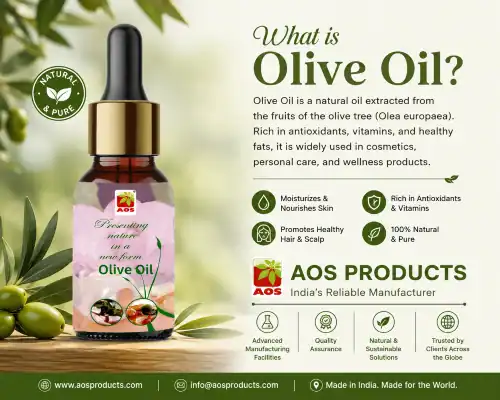 What is Olive Oil