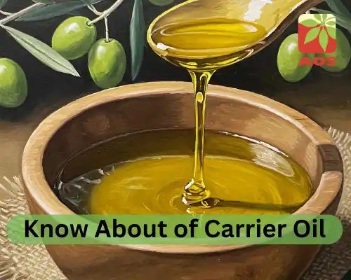 Know About of Carrier Oil
