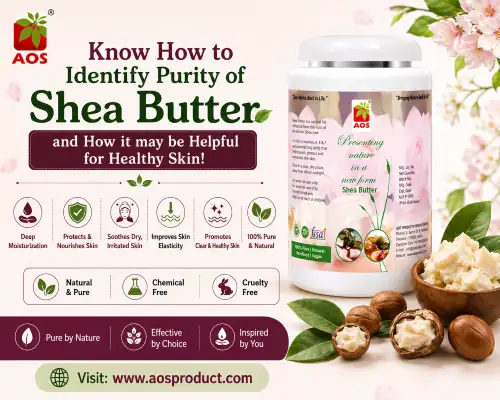 How to Identify Purity of Shea Butter