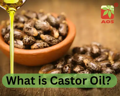 What is Castor Oil