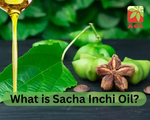 What is Sacha Inchi Oil
