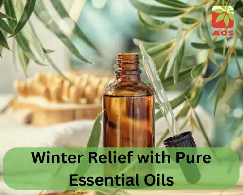 Winter Relief with Pure Essential Oils