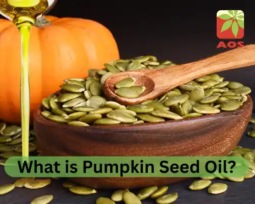 What is Pumpkin Seed Oil