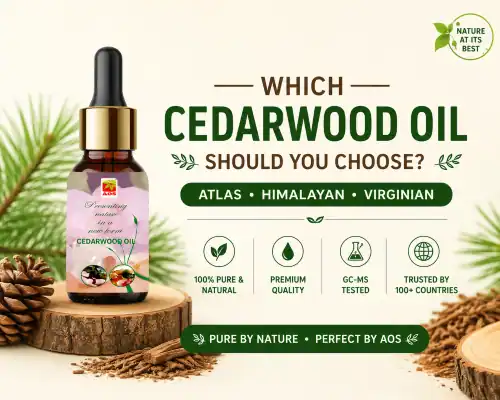 Which Cedarwood Oil Should You Choose