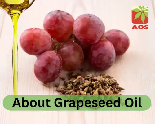 About Grapeseed Oil