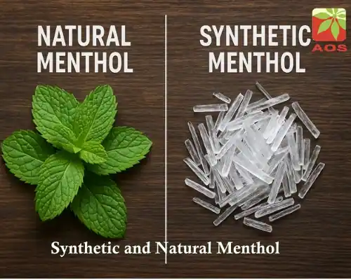 Synthetic and Natural Menthol