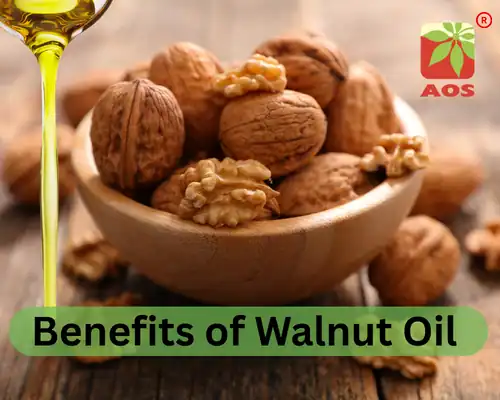 Benefits of Walnut Oil