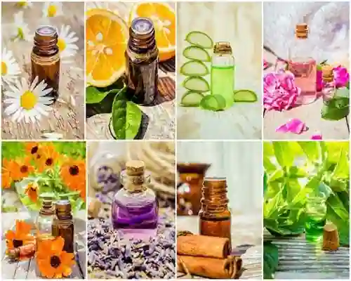 Essential Oils for Perfumes and Fragrances