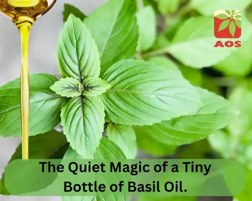 The Quiet Magic of a Tiny Bottle Basil Oil