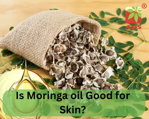 Is Moringa oil Good for Skin