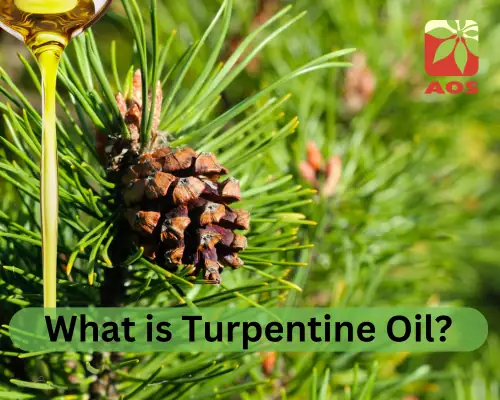 What is Turpentine Oil