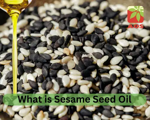 What is Sesame Seed Oil