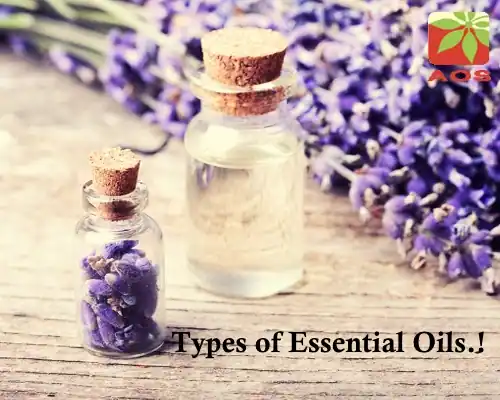 Types of Essential Oils