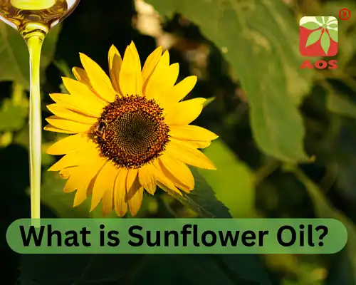 What is Sunflower Oil