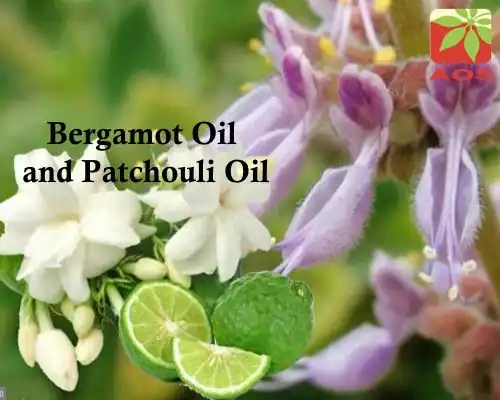 Bergamot Oil and Patchouli Oil
