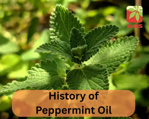History of Peppermint Oil