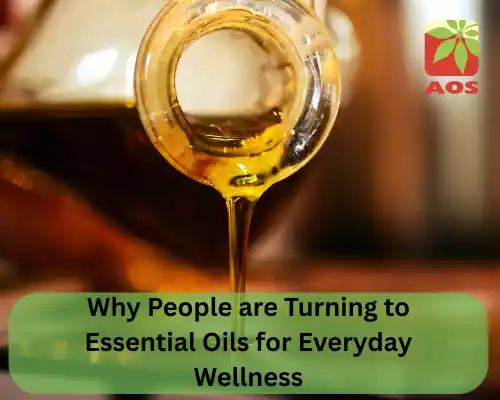 Why People are Turning to Essential Oils for Everyday Wellness
