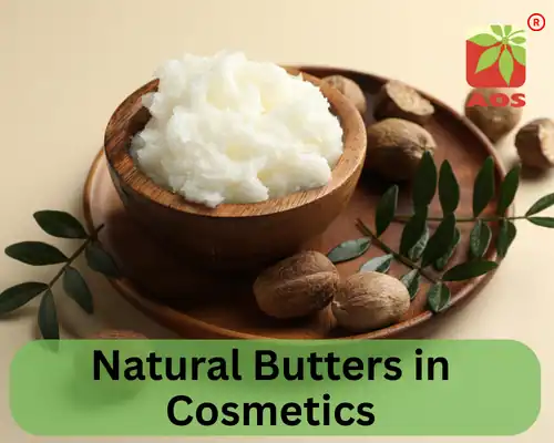 Natural Butters in Cosmetics