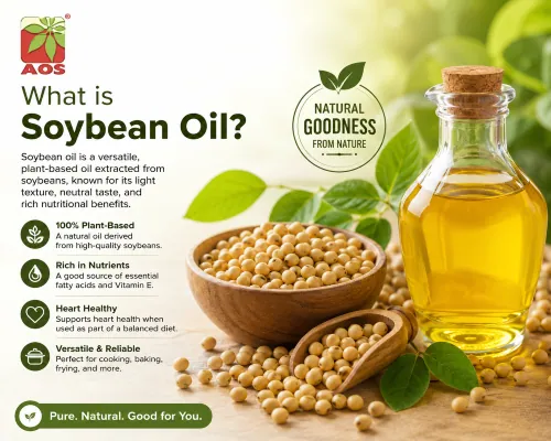 What is Soybean Oil