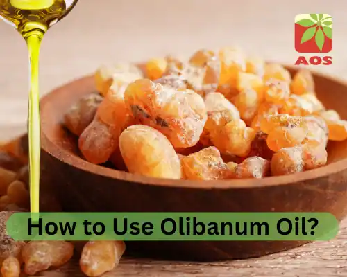 How to Use Olibanum Oil