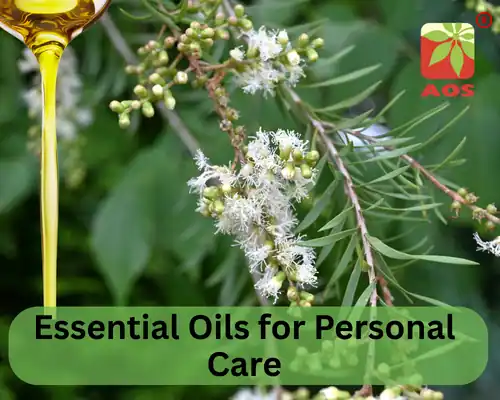 Essential Oils for Personal Care
