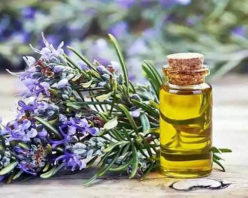 What is Rosemary Oil