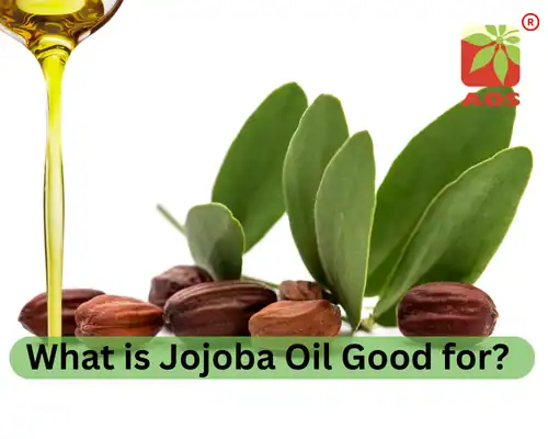 What is Jojoba Oil Good for
